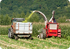 Argricultural Supplies 